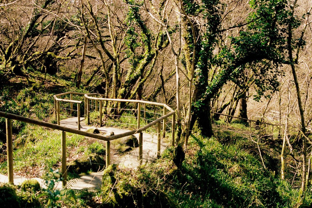 Ireland Spring 2018 –&nbsp;Color