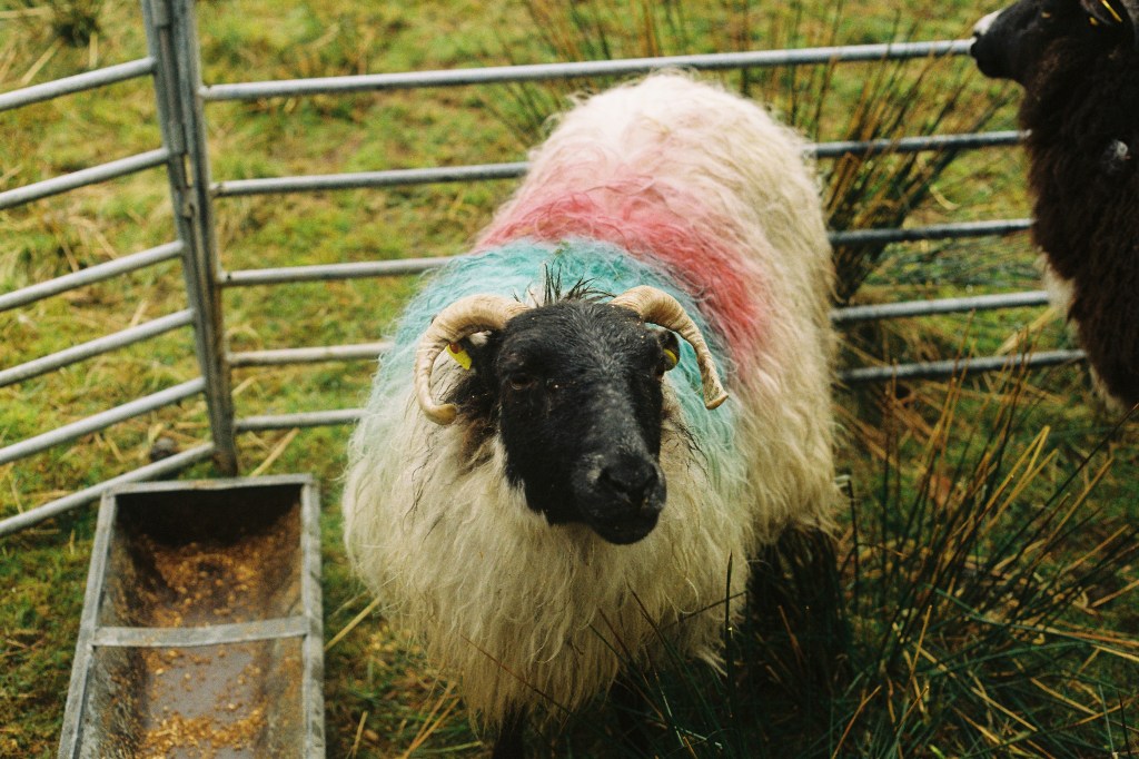 Western Ireland Spring&nbsp;2018